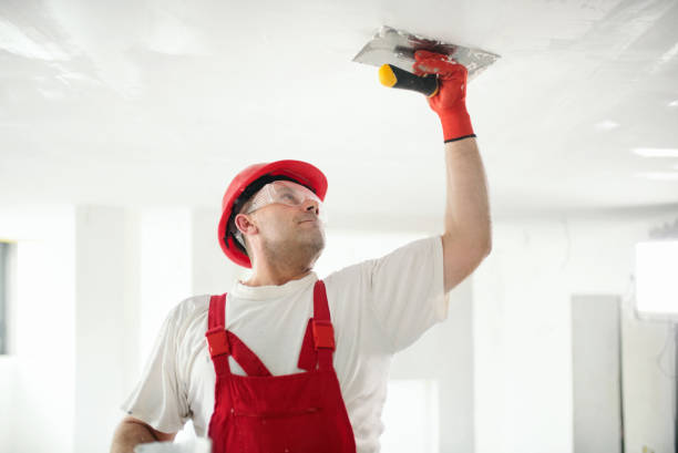 Professional Drywall & Painting Services in West Hill, OH